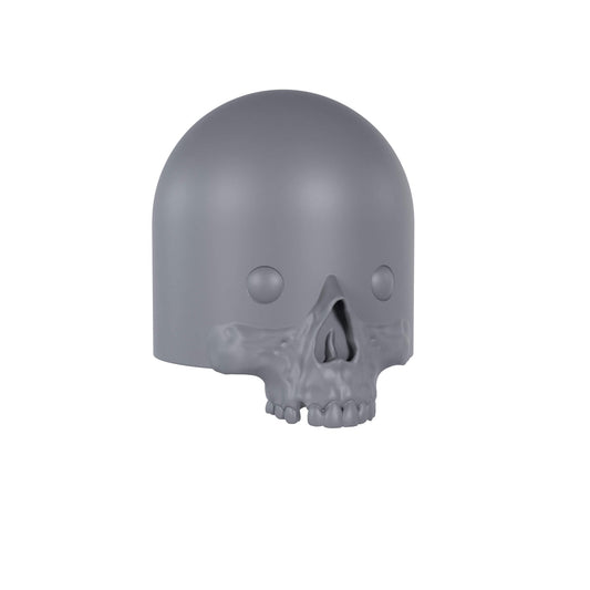 OG SKULL Specimen STL File